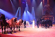 Circus Krone 1. Winterspielzeit 2020: „Hereinspaziert - Manege frei!“ ist der Programmtitel des ersten Programmes der 101. Wintersaison. Premiere am 25.12.2019.